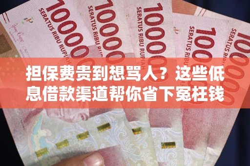 北京担保费贵到想骂人？这些低息借款渠道帮你省下冤枉钱