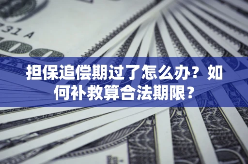 北京担保追偿期过了怎么办？如何补救算合法期限？