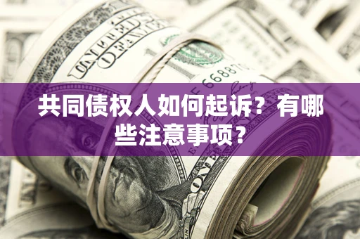 北京共同债权人如何起诉？有哪些注意事项？